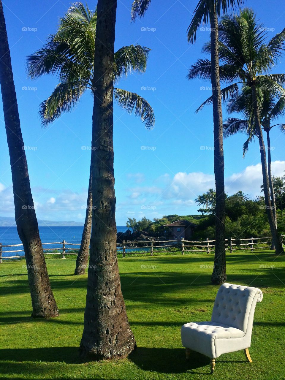 Chair in paradise. Chair in paradise