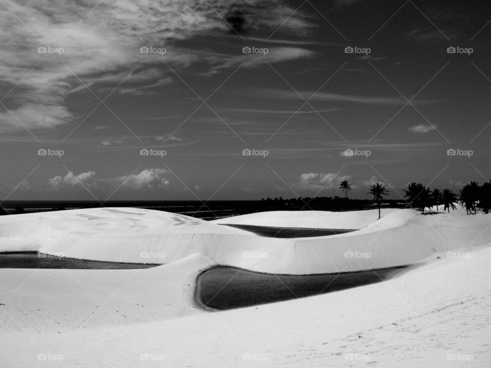 White desert with rain lake 