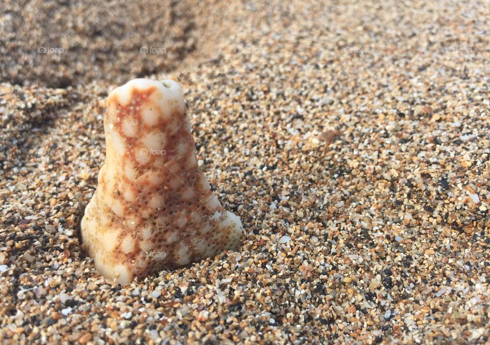 Stone on the beach in Maui