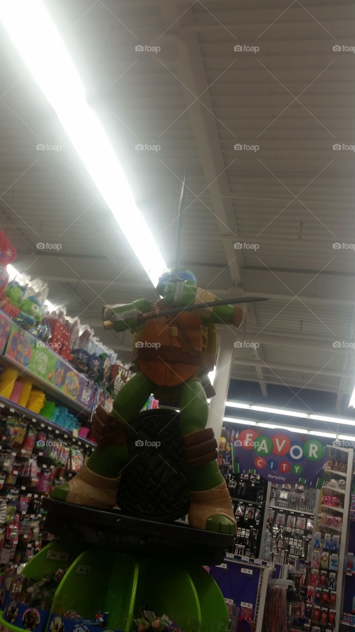 Leonardo  The Turtle