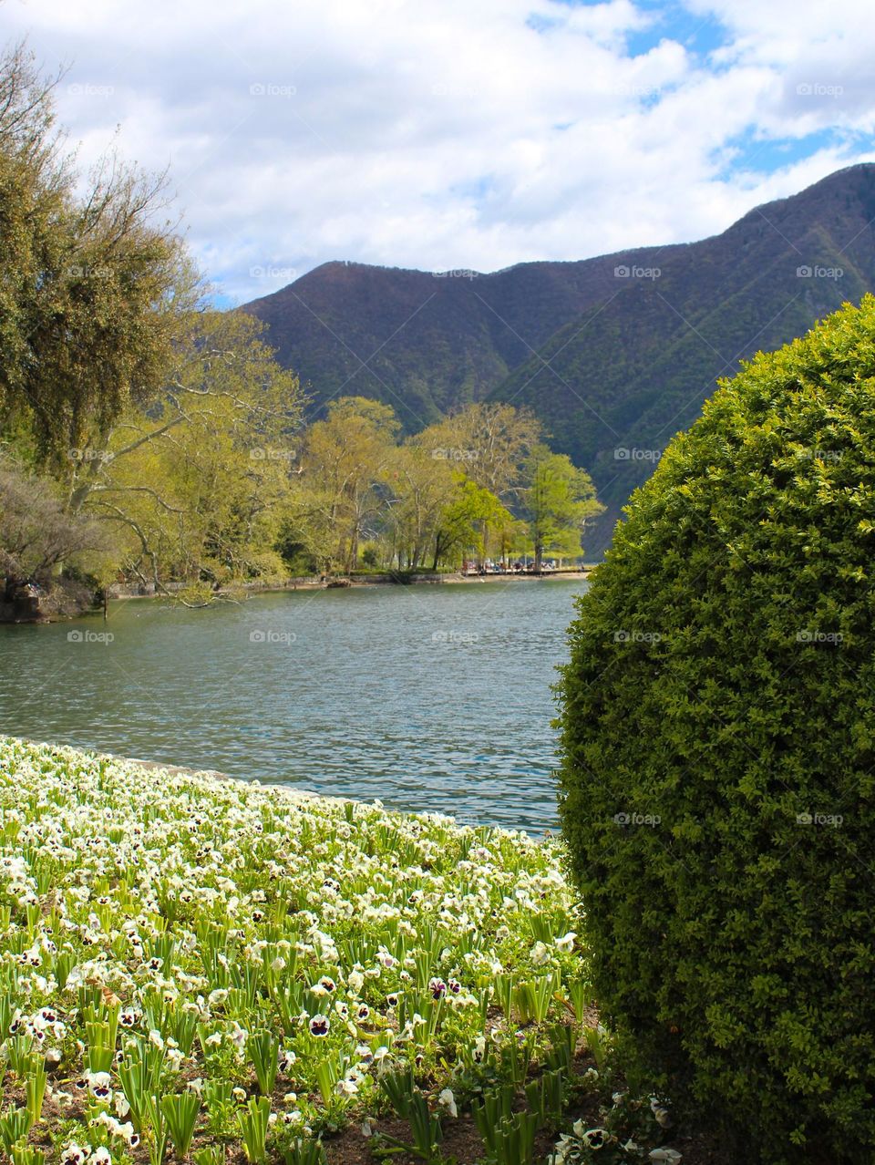 Spring landscape.  View of the lake Lugano and greenery, flowers and mountain.  Switzerland