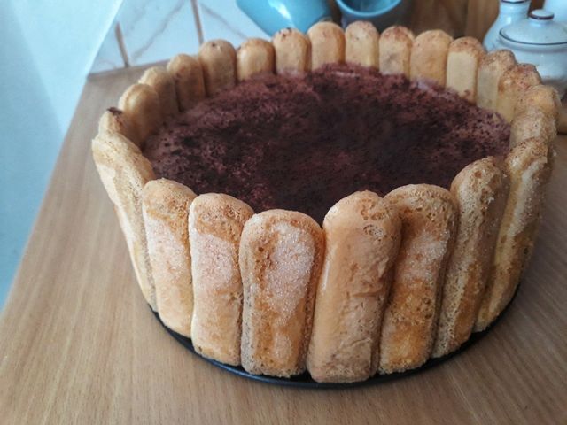 Tiramisu big cake