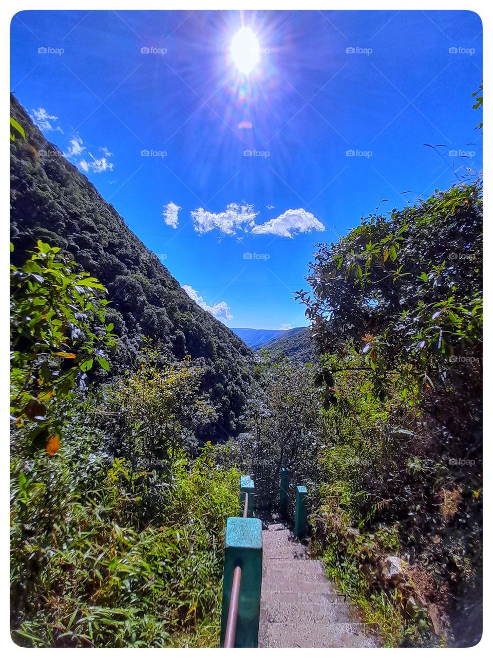 A trip through a narrow road in the jungle of the mountain.