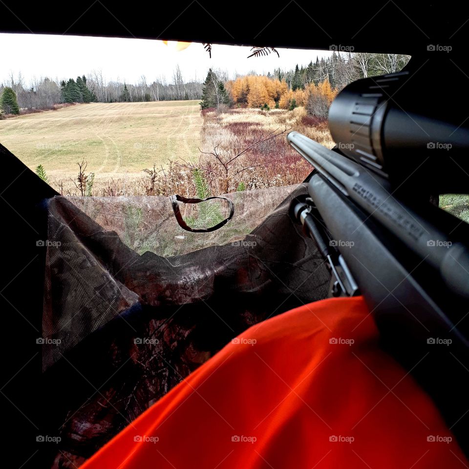 view from behind rifle of fall colors in the woods in a deer blind for hunting