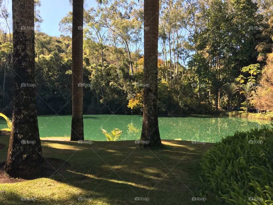 View of a beautiful lake