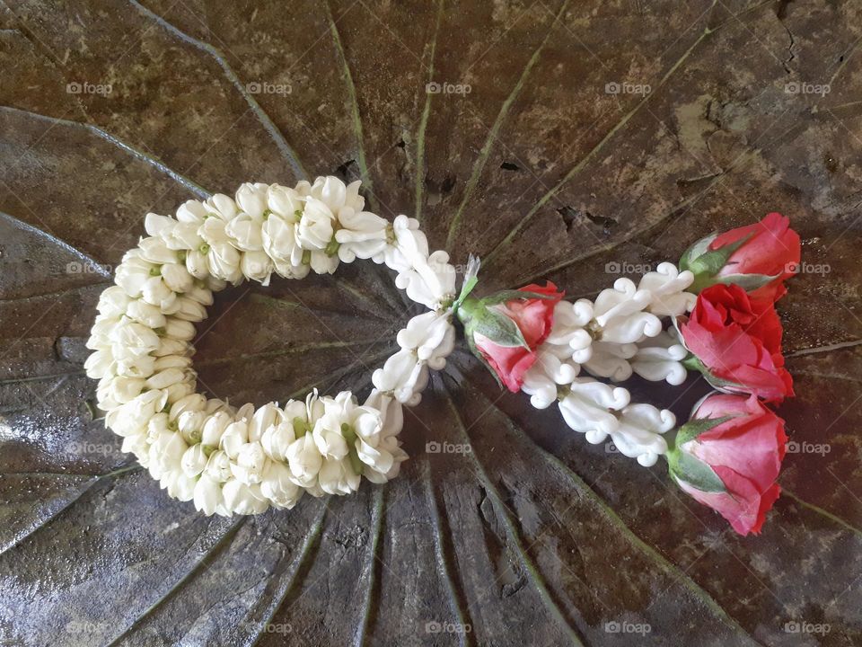 Jasmine garland in Thai style isolated on dry lotus leaf.