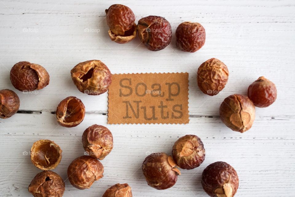 Soap nuts or soap berries on weathered white wooden background with identification placard in natural light