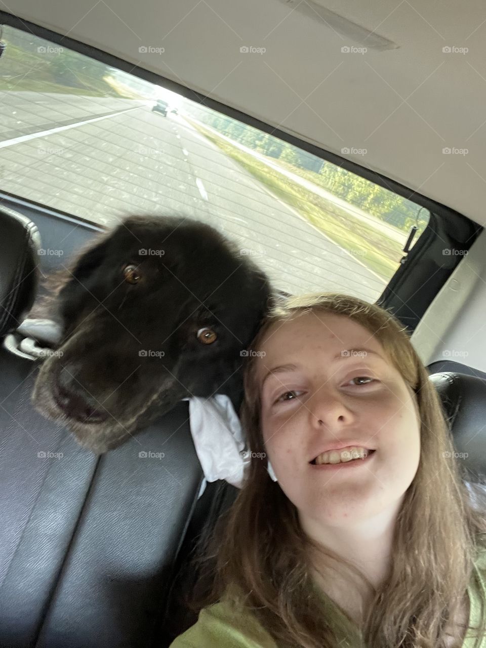 On the road with my dog! 