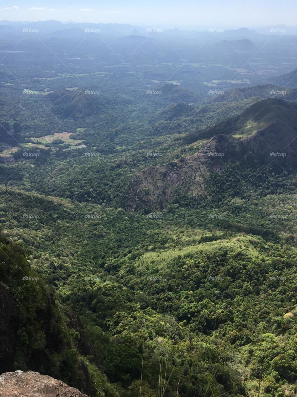 Nature create beauty