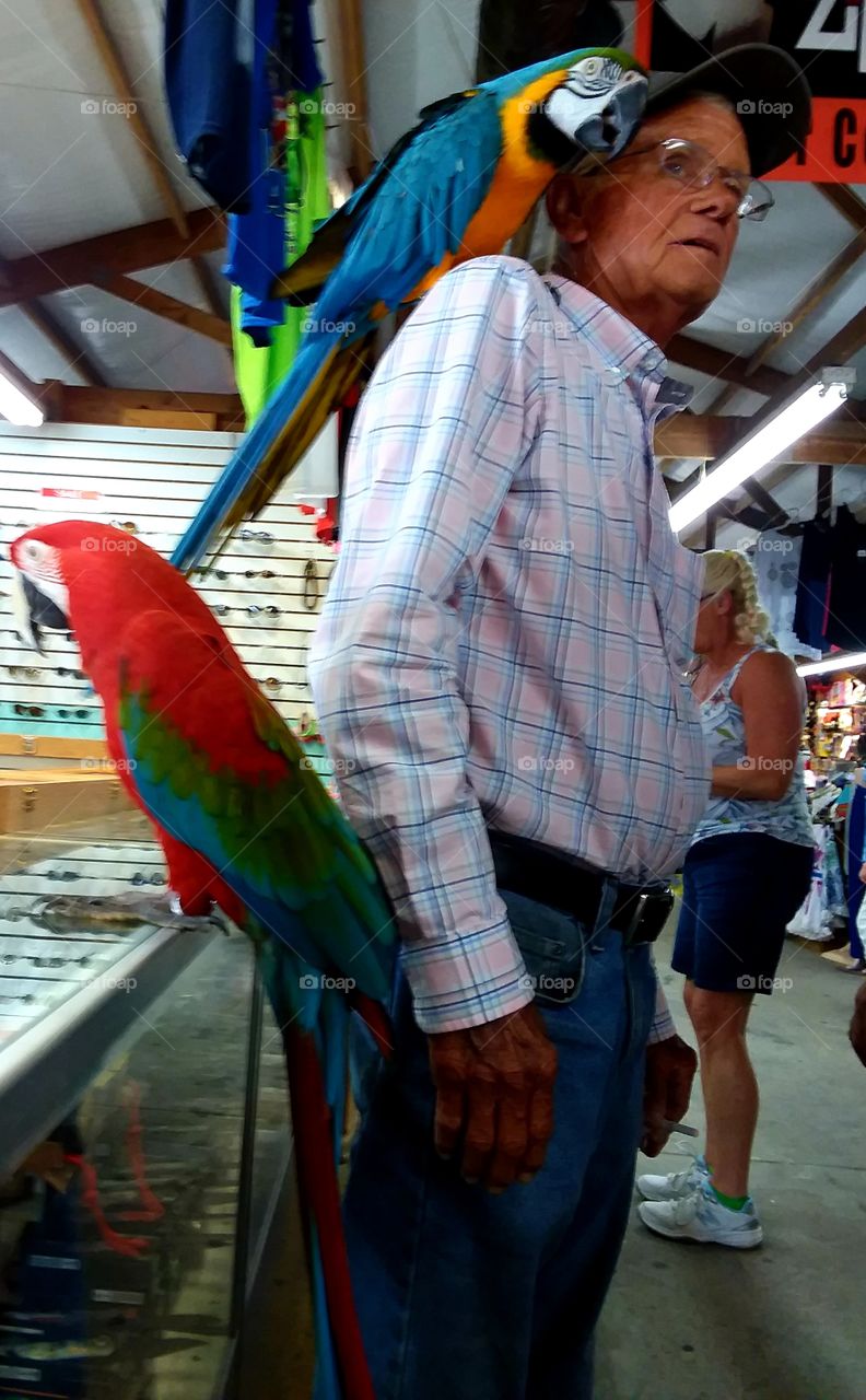 never quite sure what will come through this place...but is sure to be cheap entertainment!