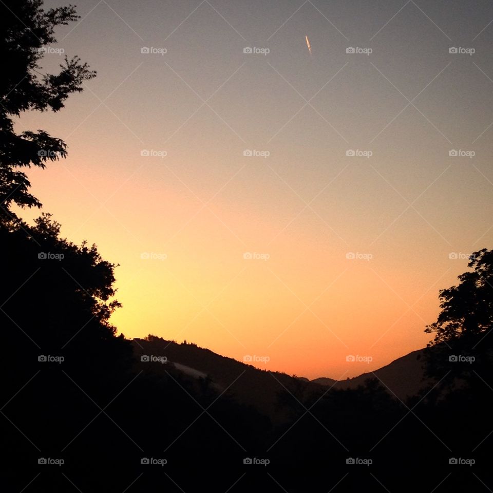 I'm the Leap into the Dark...