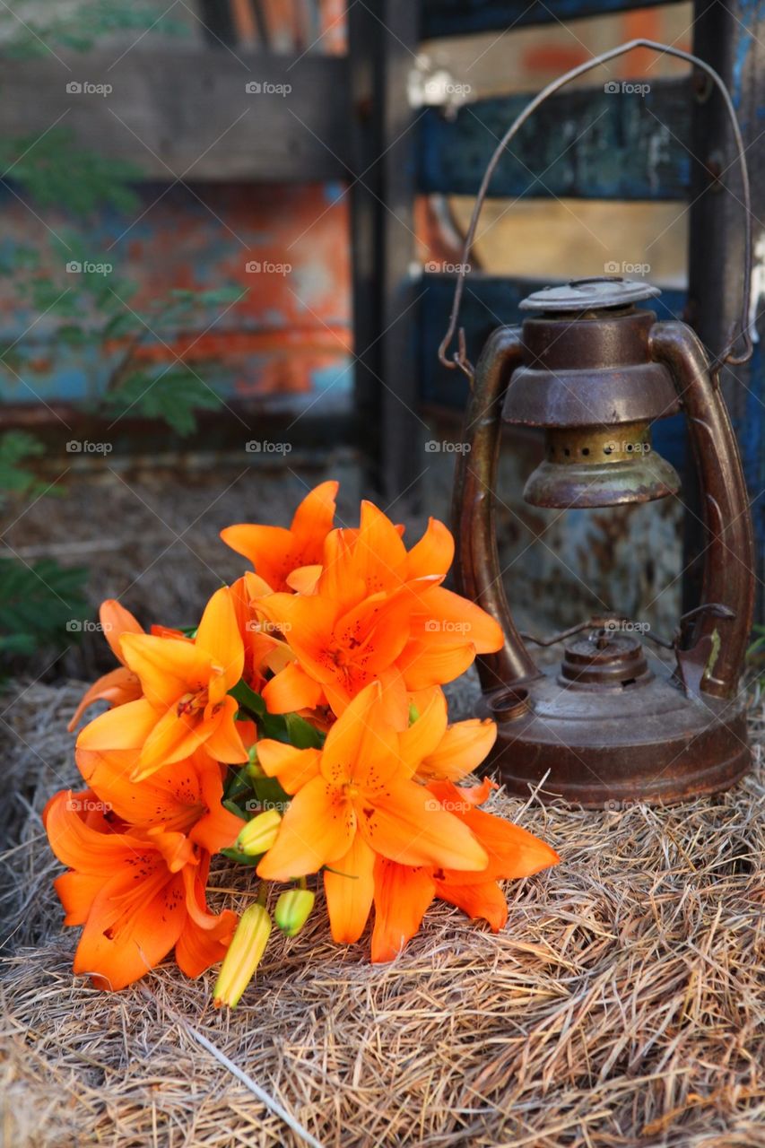 Old vintage oil lamp and flowers