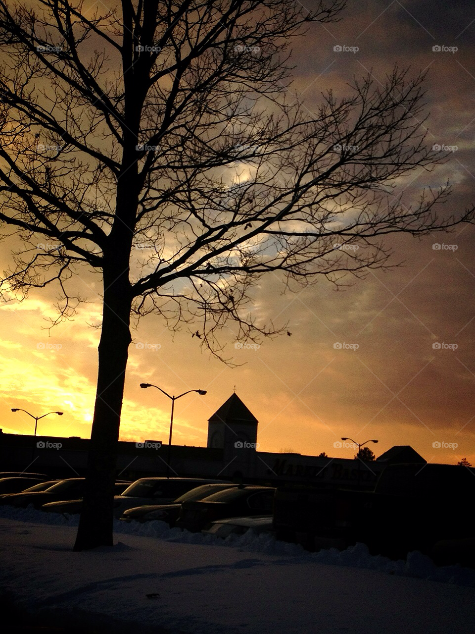sky tree sunset clouds by jmh