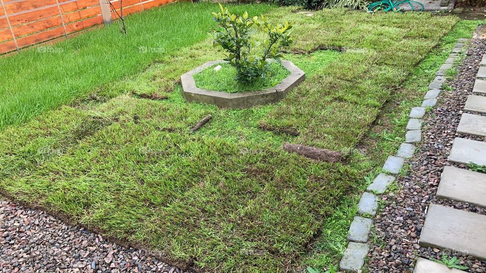 trabajo en el jardín