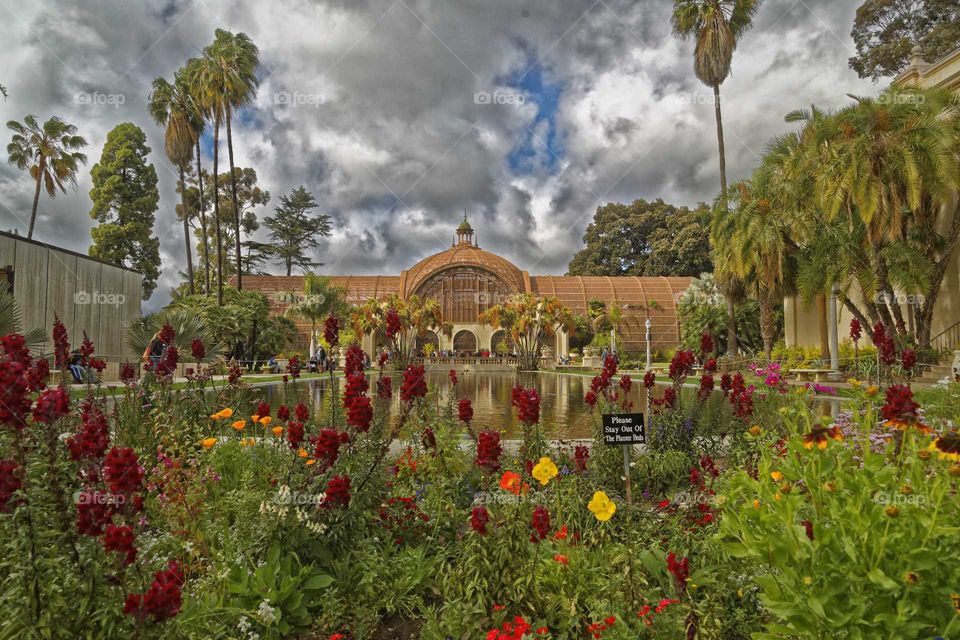 San Diego botanical garden