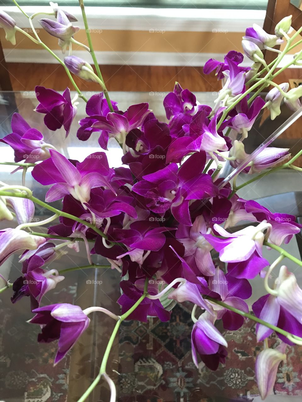 Purple exotic flowers