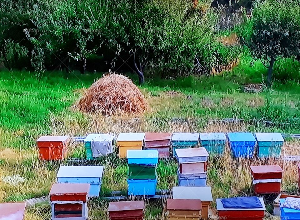 Hives for bees