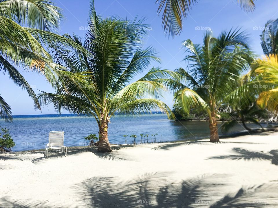 Private beach in Honduras