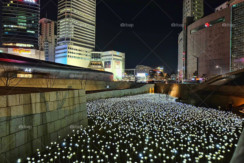 Night view of city