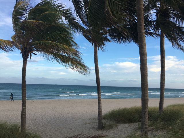 Windy Miami beach!!!