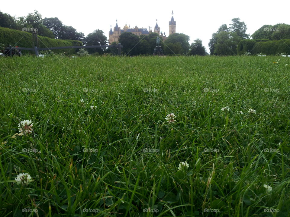 Grass in front of Schwerin palace