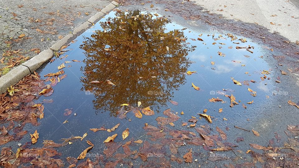 Autumn rain reflections 