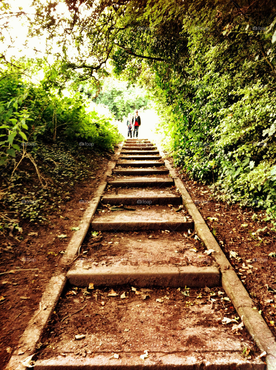 Countryside stairway footpath