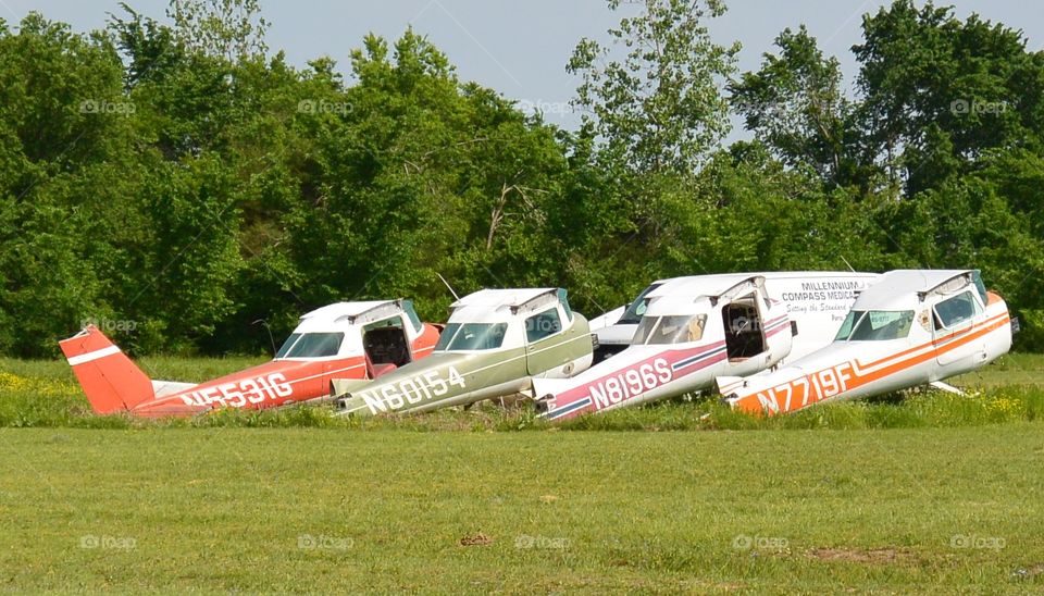 Wingless flight 
Talk about clipping your wings
