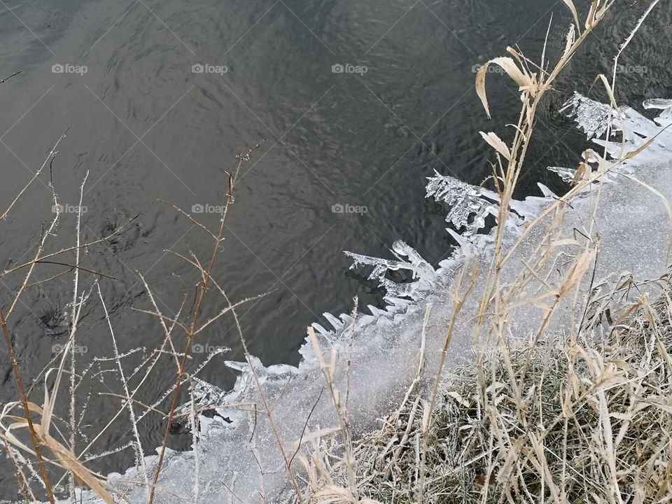 wundervolle Zeichnungen der natur