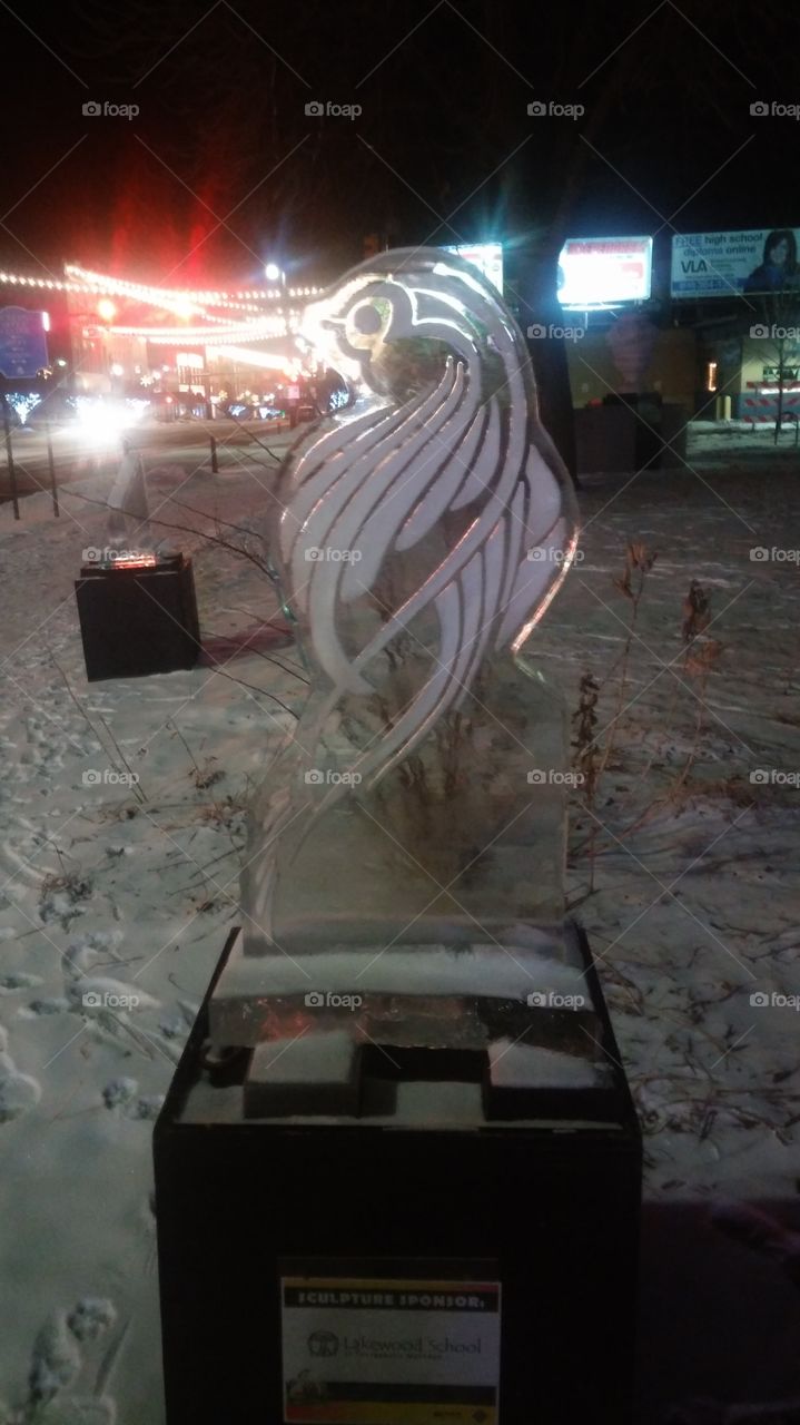 ice sculptures