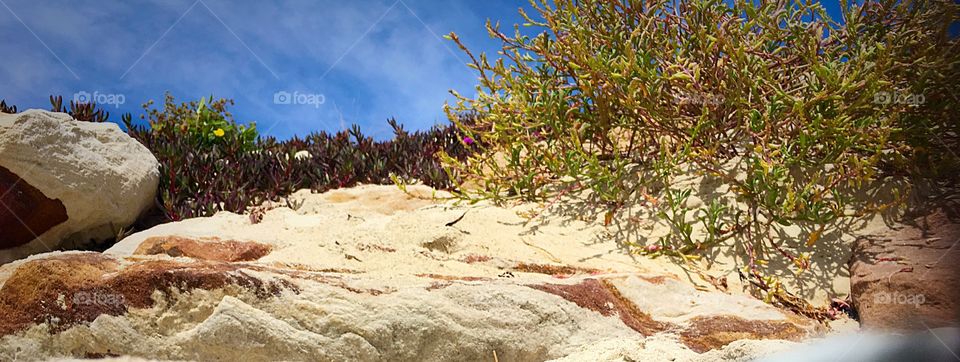 There is beauty everywhere, you just need to open your eyes to what's before you :) 