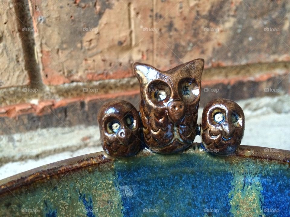 Owls. Hand sculpted owls perched on a bowl. 