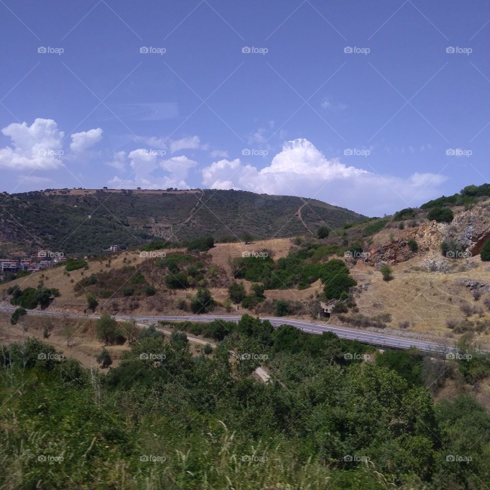 Battle: Countryside vs City