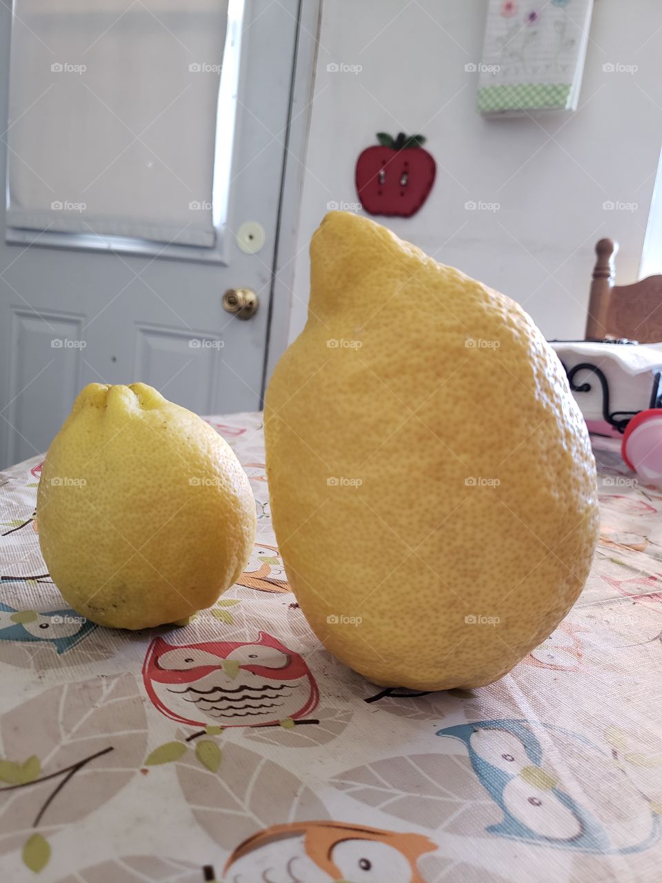 Big Lemon