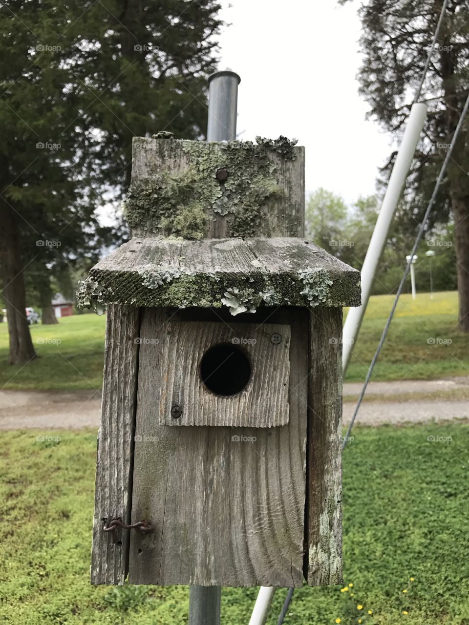 Birdhouse 