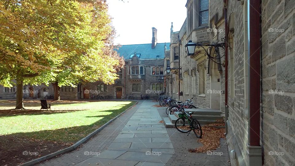 Princeton 3