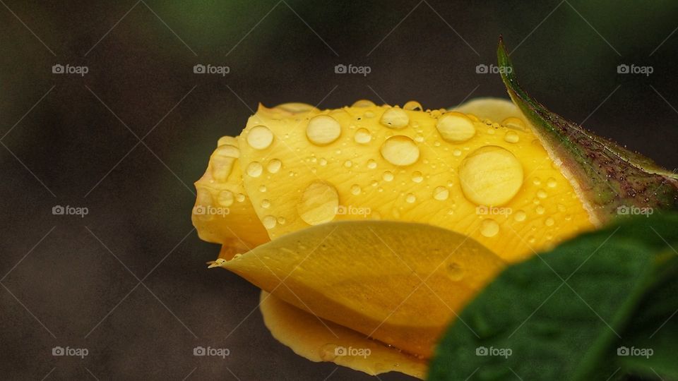 Experimentando
Experiencing