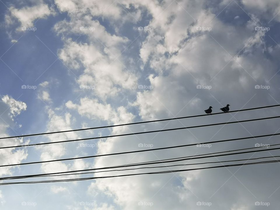 Two birds on the electric wire with cloudy sky.