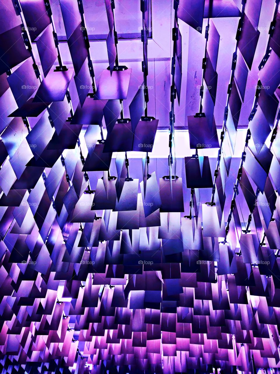 Abstract violet lights 