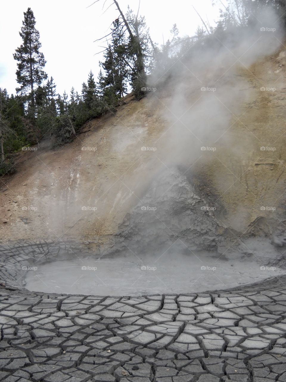 Mammoth Hot Springs , Yellowstone National Park, Wy