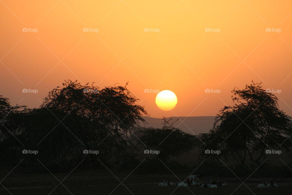 Sunset, Dawn, Evening, Silhouette, Dusk