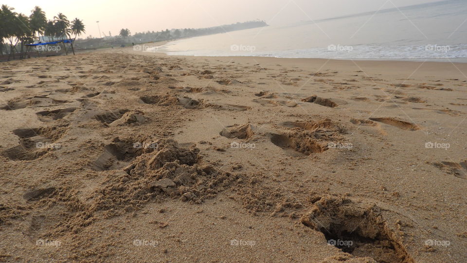 Golden Beach # Goa