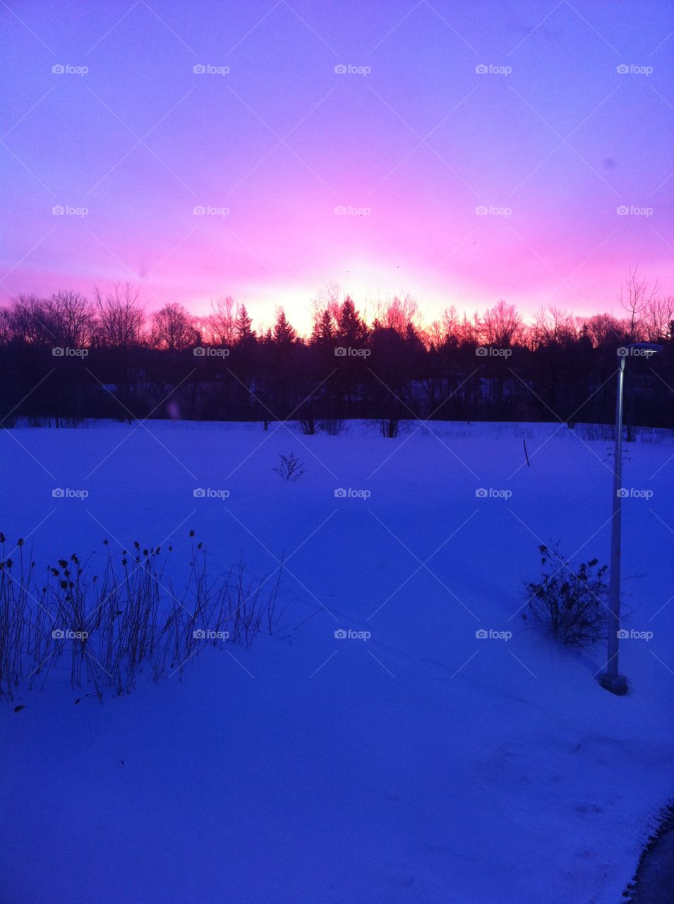 At the Bus Stop To Work
