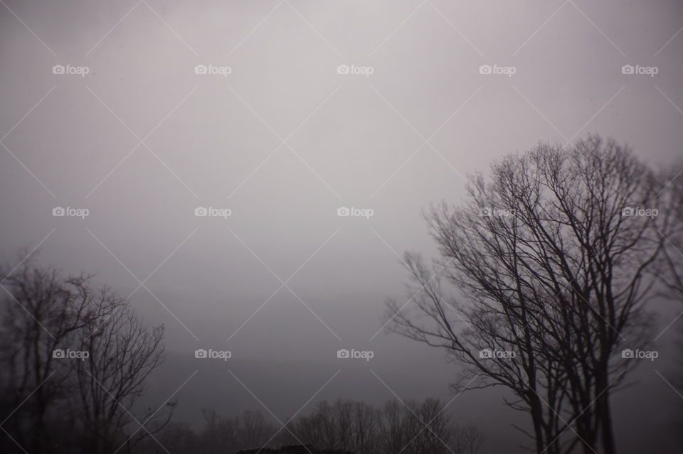 Foggy skyline with beautiful trees and hidden mountain background