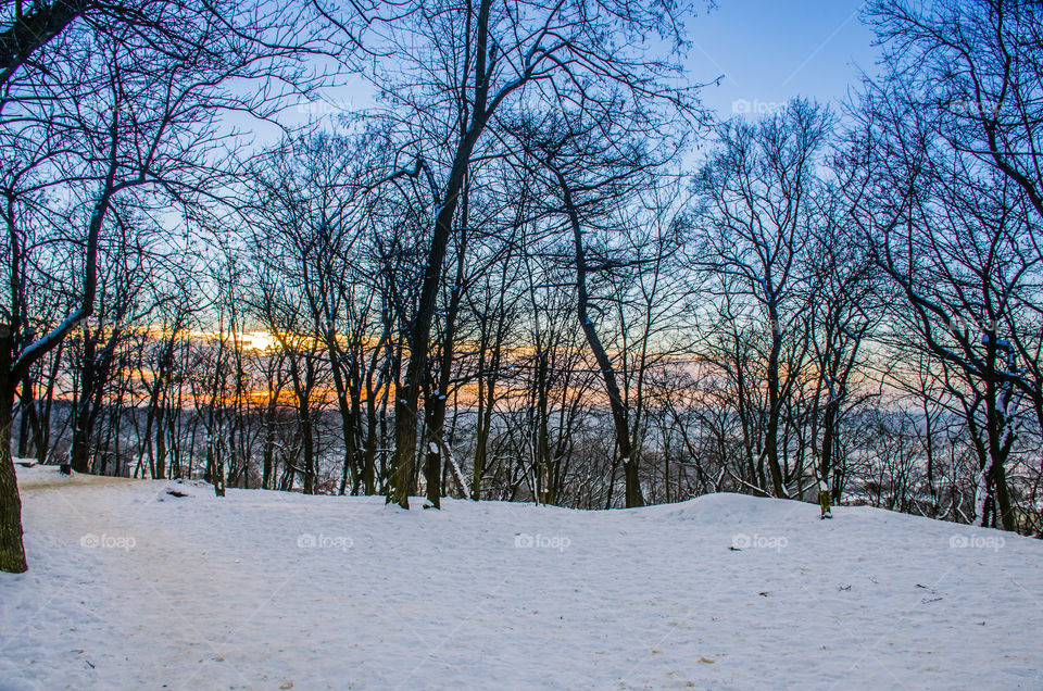 Nature landscape during sunset