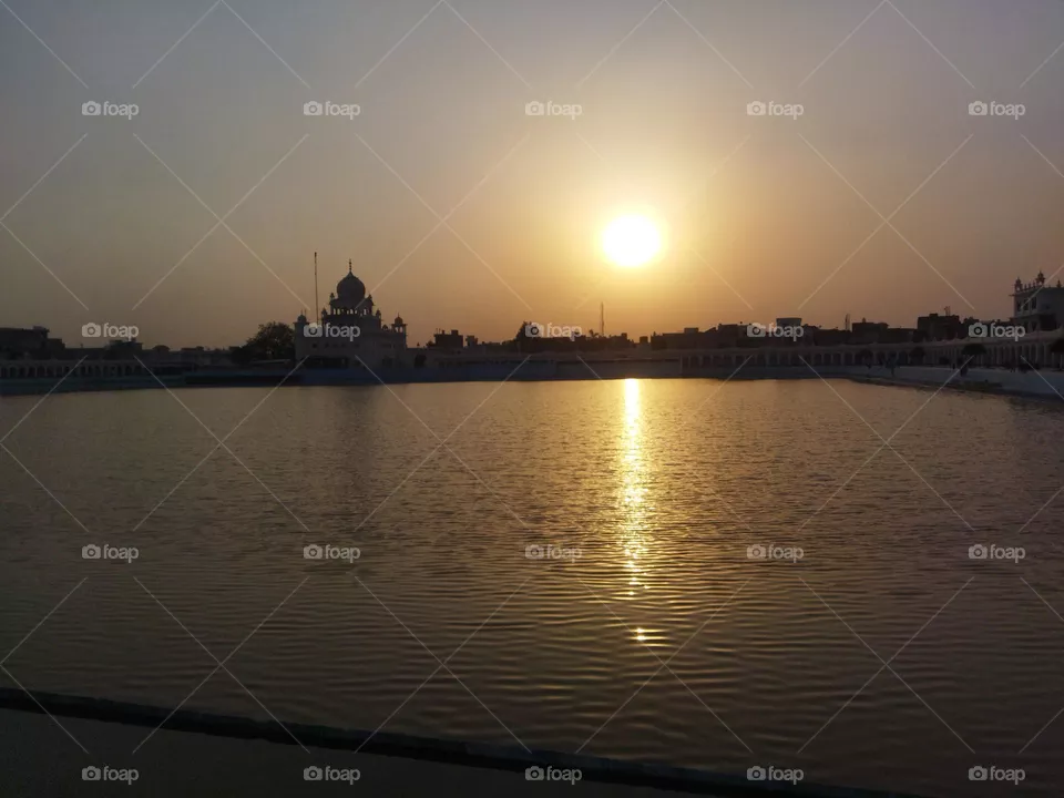 urban nature: water pond in sunset