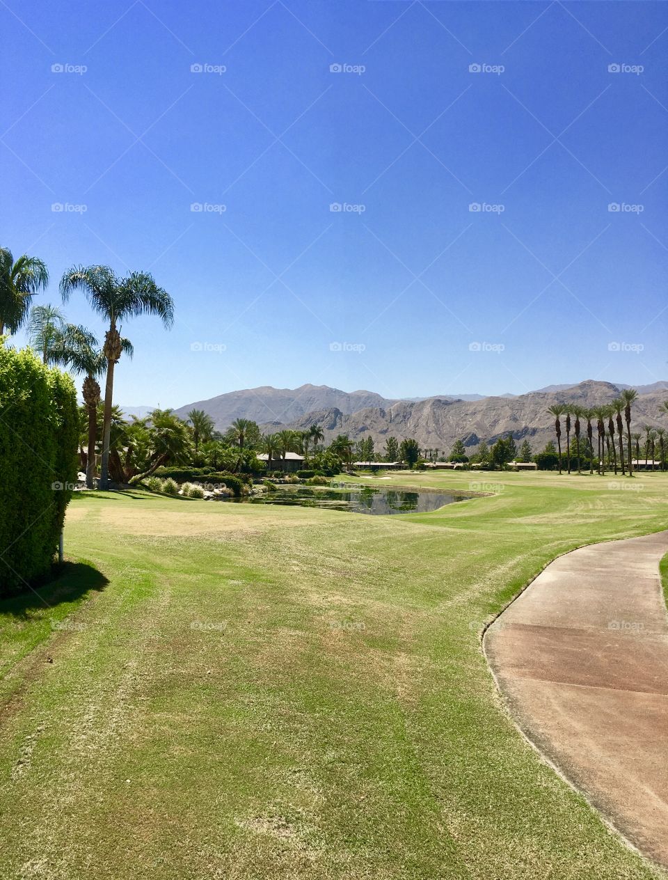Blue sky, green grass, Mountain View, and palm trees. It’s a beautiful day for golfing or just hanging out. 