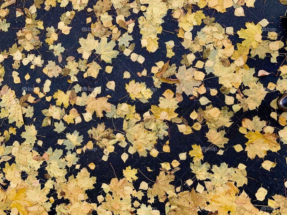 View from above. Autumn mood