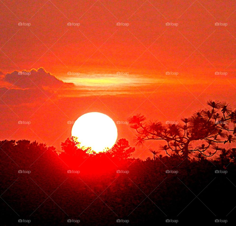 Sunset Tropical. Brilliant orange-red sunset