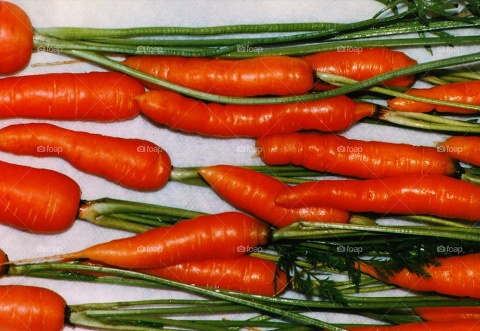 High angle view of fresh orange carrots